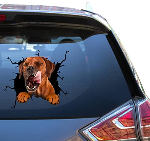 Rhodesian Ridgeback Auto Aufkleber Rhodesian Ridgeback Aufkleber Lustiges Gesicht Vynl Trucks Sticers für Mädchen Bumber Auto Aufkleber