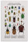 Insekten-Exemplare Poster Käfer Poster Dekorative Malerei Leinwand Wandposter und Kunstdruck Moderne Familie Schlafzimmer Dekor Poster 50 x 75 cm