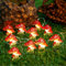 KINGCOO Pilz Nachtlicht Dekorative Lichter, 30LED Warmweiß Pilzlichter Kupferdraht Lichterkette Batteriebetrieben mit Remote für Garten Ostern Schlafzimmer Thanksgiving Weihnachtsfeier DIY Home Decor