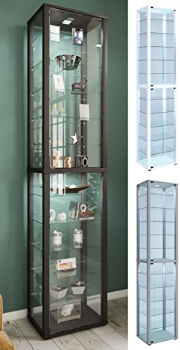 VCM Glasvitrine stehend | Vitrine Glas mit ESG-Sicherheitsglas | Maße ca. H. 227 x B. 50 x T. 38 cm | Standvitrine Glas | Modern und platzsparend | Glas Vitrinenschrank – Kavisa XXL Silber