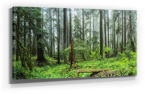 BilderKing Traumhaftes Leinwandbild Wald, Motiv Hoh Regenwald Es ist 120x60cm groß und ist fertig aufgespannt auf Holzrahmen. Ein XXL Wandbild als Hintergrund und Deko für Wohnzimmer & Schlafzimmer