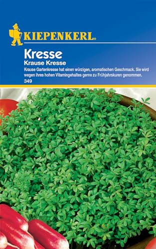 Kiepenkerl Kressesamen Krause 349 - Würziger aromatischer Geschmack, ideal für Salat, schnelle Ernte, einfach anzubauen, hoher Vitamingehalt, Samen für Garten und Balkon