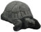 Small Tortoise Hand cast, coloured and finished stone concrete garden ornament 18 x 10 x 8 cms