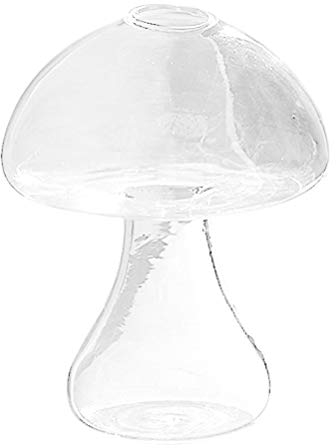 BESPORTBLE Hydrokultur Vase Pilzf?rmige Glasvase Hydroponik Pflanzenvase Blumengeschirr Hydroponik Blumentopf Handwerk für Laden Wohnheim Büro zu Hause Tischvase Glas