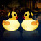 Luces Solares Flotantes para Piscinas, Luz Piscina LED Impermeables 42cm, Luces Solares para Estanques Pato Iluminar, Luz Piscina Flotante Inflables Energía Solar para Estanque, Piscinas, Jardín-2 pzs