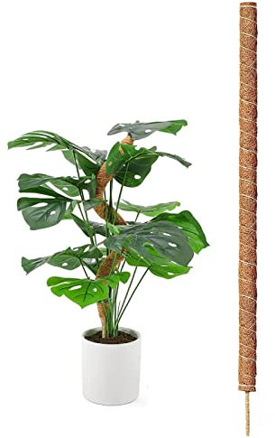 Coco Coir Bendable Moss Pole for Monstera & Cheese Plants, 40cm