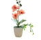Phalenopsis Plant, Pot Included, House Plant, Live Potted Twin Spiked Orchid Phalaenopsis Perfect for Home, Office, Christmas, Birthdays, Anniversaries (orange)