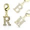 Bungsa D - Buchstaben Charm Gold 14 Karat Anhänger für Kette Armband Ohrringe Kristall Damen Herren (Kettenanhänger Pendant Beads A B C D E F G H I J K L M N O P Q R S T U V W X Y Z Brass Schmuck)