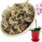 Youning Sphagnum Moos 6L Natürliches Torfmoos Substrat Spagnummoos für Pflanzen, Bonsai, Orchideen