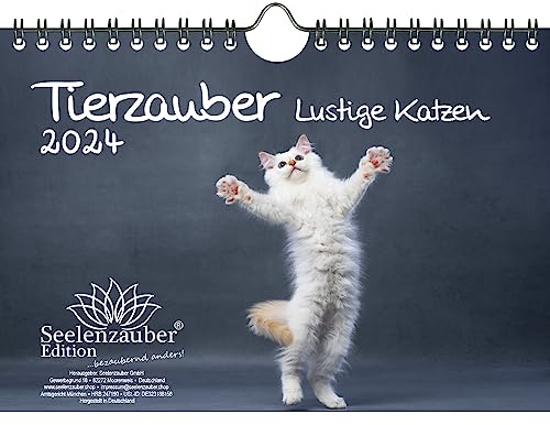 Tierzauber lustige Katzen DIN A5 Wandkalender für 2024 Lustige Momente mit Katzen - Seelenzauber
