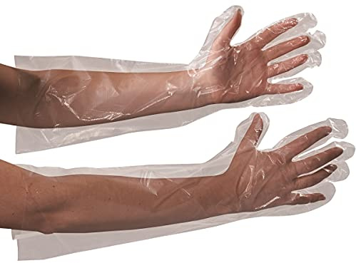Box Partners GLV2221 Clear Poly Gloves 18 in. Elbow Length - Case of 100