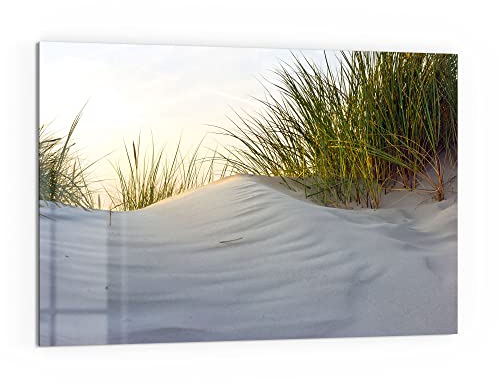 DEQORI Küchenrückwand Glas | Motiv Düne mit Dünengras | 60x40 cm | Bad- oder Herd-Rückwand | Herdblende Spritzschutz für Küche & Badezimmer | moderne Deko für Fliesenspiegel