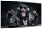 DARO Design - Wand-Bild auf 6mm HDF 84x56 cm DJ Affe Monkey Musik - Wand-Deko Bilder Geschenk
