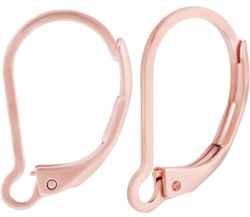 Beebeecraft 1 Box 50 Stück Französische Ohrringhaken 304 Stück Edelstahl Roségold Hypoallergen Baumelnde LeverbackOhrringBeschläge 16.5x10 mm Für Ohrringe DIYSchmuckherstellung