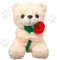 Teddy Bear Plüschtier 25cm Teddybär Cartoon Kuscheltier Plüsch mit Rose Teddybär Weiches Fell Blumen Umarmen Teddybär Plüschtier Geschenk für Mädchen Jungen Kinder Partei Weihnachten Geburtstag