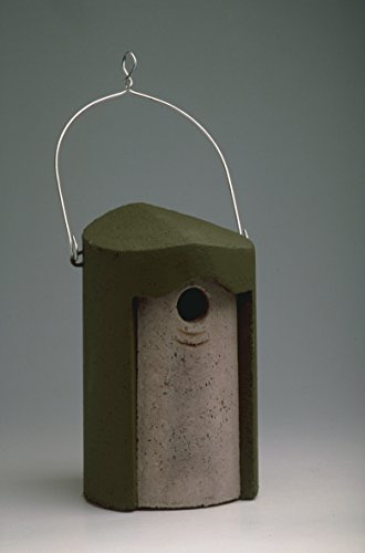 Schwegler Nisthöhle 1B grün oval 29 x 55 mm