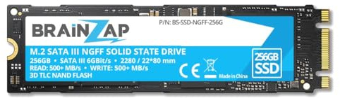 BRAINZAP 256GB M.2 NGFF SATA III SSD 6 GBit/s - 500MB/s Lesen 500MB/s Schreiben Solid State Drive