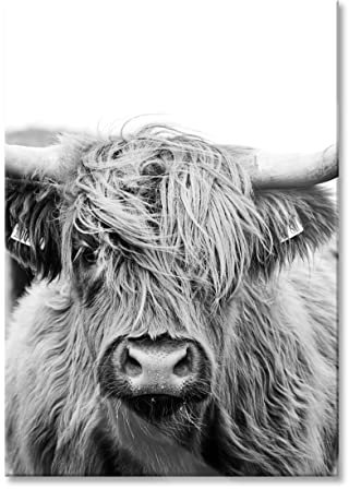 Pixxprint Glasbild, Wandbild aus Echtglas, Highlandrind frontal in Schwarz-Weiss, Monochrome, 40x60 cm, inkl. Aufhängung und Abstandshalter