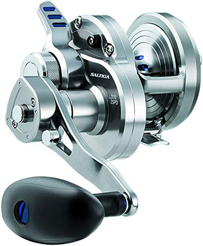 Daiwa Saltiga Hebelzug 2-Gang-Rolle, Silber 50