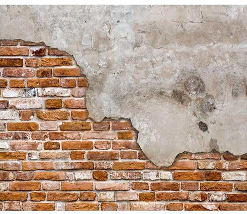 decomonkey - Papier Peint Panoramique Mur de Pierre Noyaux 400x280 cm - Décoration murale moderne – Tapisserie décorative pour chambre salon - Fond de texture de modèle de brique en béton