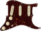 Fender Pre-Wired Strat Pickguard Tex-Mex (vorverdrahtet), SSS, Tortoise Shell