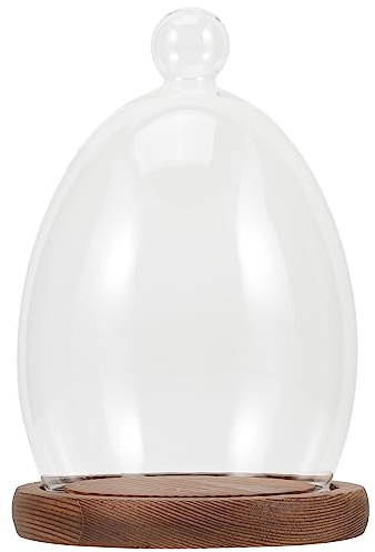 SSIMOO Ei-Glasabdeckung, Terrarium-Dekoration, Mikro-Landschafts-Glaskuppel, Konservierte Blumen-Glasglocke, Hölzerne Klarglas-Anzeigenkuppel