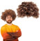 EUPSIIU Brown Curly Wig for Women Girls, Ladies Fancy Dress Wig Synthetic Hair Wigs, 80's Curly Hair Disco Hair Fancy Dress, Short Curly Wigs Full Head, for Daily Use Cosplay Party
