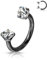 Hufeisen Piercing Chirugenstahl 316l Septum Ring Zirkonia Kristal 1,2 mm Ohr Nasenpiercing Nippel Intim Silber Schwarz Gold Rose Glitzer Tragus Helix Farben Innengewinde Schwarz/Kristall, 3 mm