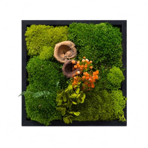 Yunmeryker Moosbild Bastelset für Anfänger, DIY Moosbild Materialset | Konserviertes Moos Bilderrahmen für Tischdekoration & Geschenk, inkl. Werkzeug, 30x30cm Rahmen