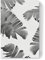 artboxONE Leinwand 90x60 cm Natur Monochrome Palm Leaves von Vivid Atelier
