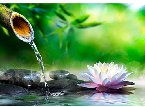 Runa Art Fototapete Lotus Blume Zen 352 x 250 cm Vlies Tapeten XXL Moderne Wandtapete Wohnzimmer Schlafzimmer Grün 9198011a