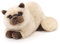 Uni-Toys - Perserkatze beige, liegend - 31 cm (Länge) - Plüsch-Katze - Plüschtier, Kuscheltier