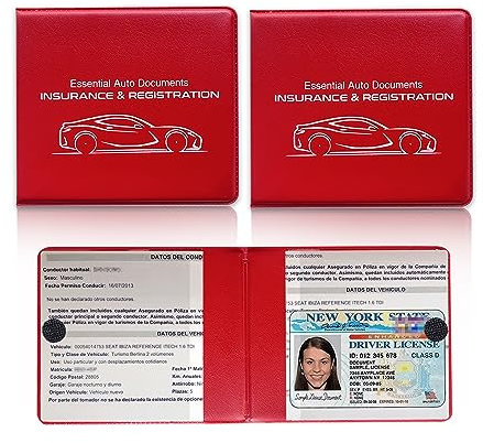 Ziciner Porta assicurazione per immatricolazione auto, confezione da 2 pezzi, organizer essenziale per documenti, con chiusura in velcro, accessori interni del veicolo, perfetto per la maggior parte