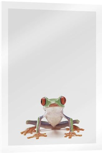 Posterlounge Rotaugenlaubfrosch Acrylglasbild von Animal Kids Collection 30 x 40 cm Grau Tiere Wanddeko