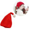 VALICLUD Hüte Für Frauen neugeborene weihnachtsmütze Strickmütze für Jungen Hüte Weihnachtsmützen Strickmütze für Kinder Haarballenmütze großer Ball Hut Bommelmütze Wollmütze Baby rot