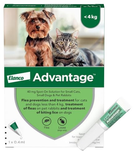 Advantage Spot On Flea Treatment For Cats, Dogs and Rabbits Under 4kg (1 pipette, 40mg), Kills Fleas Within 24 Hours, Prevents Further Infestation For Up To Four Weeks in Cats and Dogs