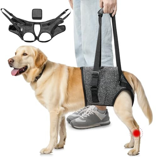 Eyein Tragehilfe für mittelgroße große Hunde, Tragetasche Hund mit verstellbarem Hinterbein-Stützgurt für ältere, verletzte oder behinderte Hunde bei schwachen Hinterbeinen nach Kreuzband-OP, XL