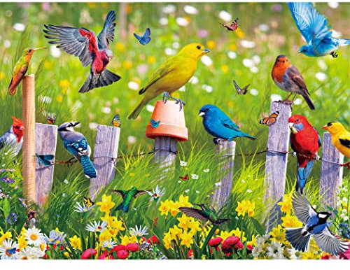 Becko US Puzzles for Adults 500 Piece Jigsaw Puzzles 500 Pieces for Adults and Kids - Birds On A Fence