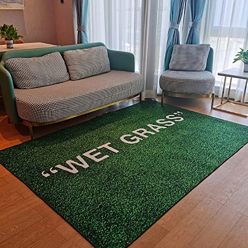 XIANGSOPY Wet Gras Teppich Teppich Wohnzimmer Dekoration Teppich Schlafzimmer Nachttisch Erker Bereich Teppiche Sofa Bodenmatte 50X80Cm