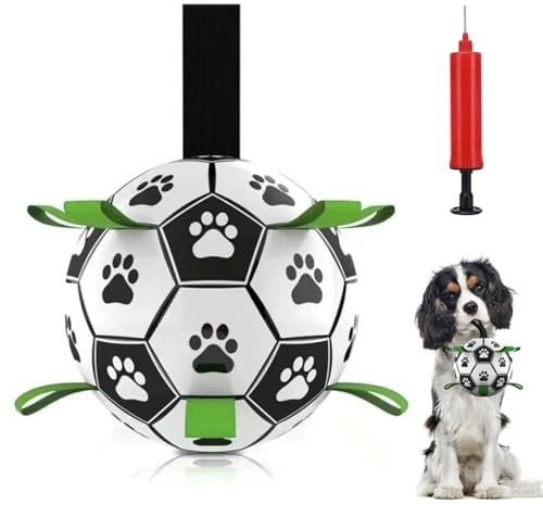 YHSKJCD Hund Fußball, 15CM Interaktiver Schwimmender Ball mit Ballpumpe und Nadel, Innen & Außen Spielzeug Hund Ball für kleine und mittelgroße Hunde