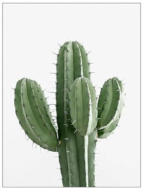 Quadri Moderni Soggiorno Cactus Stampe Da Parete Su Tela Con Pino Cornice,Quadro Moderno Soggiorno Decorazioni Quadri Camera Da Letto,Poster Da Parete Da Appendere 15X20Cm