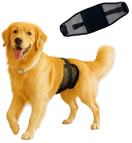 Colenumone Couches pour Chiens Mâles,Couches pour Chiens,Couche Chien Male Incontinent,Super Absorbant,Etanchéité,Miction excitée, Chaleur, Problèmes de marquage（S）