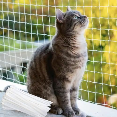 EVBOTGEE Filet pour Chat de Balcon et fenêtre 6x3m, sans perçage, en Nylon Haute résistance, pour terrasse, fenêtres et Portes (Blanc)
