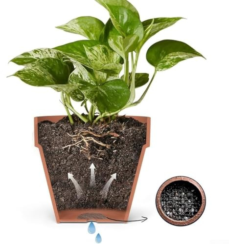 100 Pcs Bonsai Pot Mesh Pads, Polyester Flower Pot Hole Screens for Soil Retention, Drainage & Ventilation, Black Garden Plant Care Accessories(10CM)