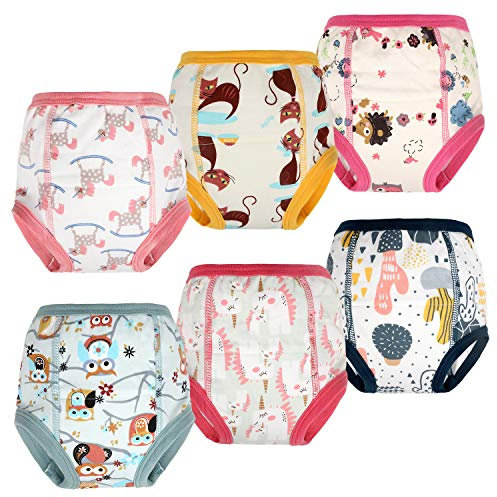 FLYISH DIRECT Potty Training Pants Reusable, Cotton Girls Potty Training Underwear for Toddlers, 6 Pairs, 5 Years, Pink-a