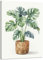 Monstera-Pflanze, Leinwand-Kunstdruck, Aquarell, botanisches Poster, grüne Pflanze, Bild, tropische Blätter, Wanddekoration für Badezimmer, Naturpflanze, grüne Blätter, gerahmt, fertig zum Aufhängen,