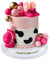 16PCS Cowboy Cake Topper Cowboy Hat and Boot Balls Cake Decorations Western Cowboy Birthday Baby Shower Party Decorations (Pink)