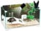 Aquariumline - Tortuguera de cristal para reptiles, tortugas de agua y de tierra, 42 x 23 x 22 cm, capacidad 23 litros