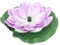 Milisten Fontaine Flottante Solaire pour Étang Fleur De Lotus Décoration De Jardin