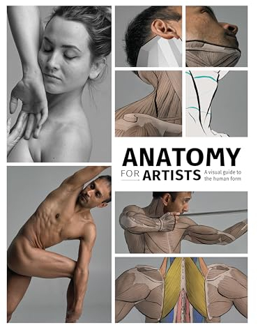 Anatomy for Artists: A visual guide to the human form
